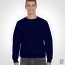 DryBlend Crewneck SweatShirt 