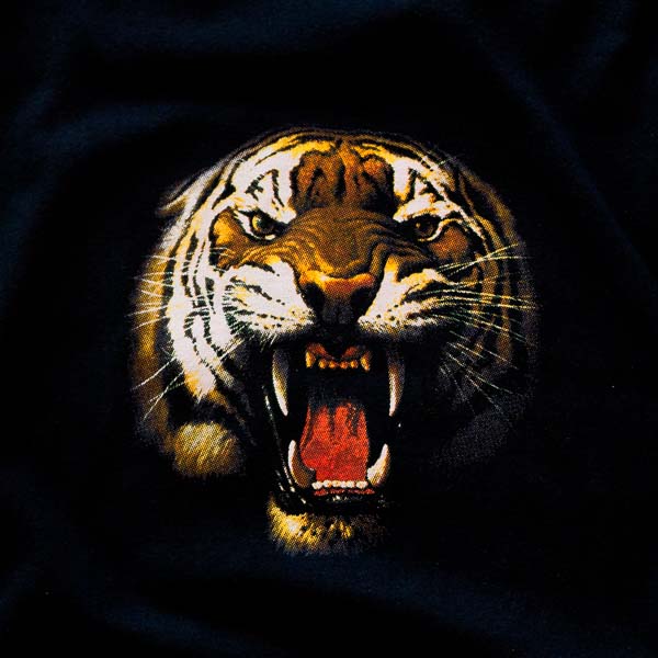 Bandshirts Portfolio